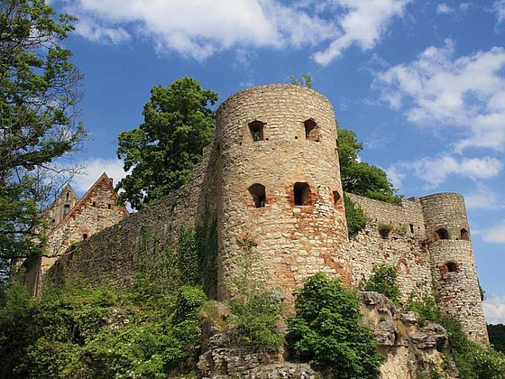 Burgruine Pappenheim, Schlossturm und Mauern