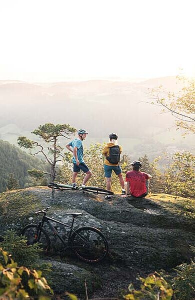 3 Radfahrer genießen die Aussicht über das Mühlviertel von einem Felsen aus.
