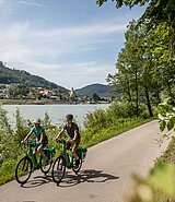 zwei Radfahrer am Donauradweg vorbei an Kramesau
