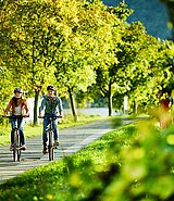 zwei Radfahrer im Radurlaub am Moselradweg in Deutschland