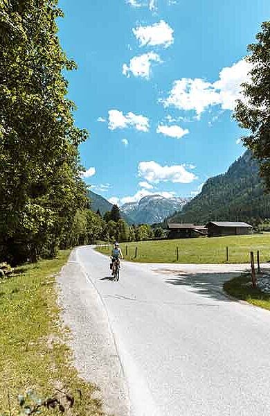 lonely street and one cyclist surrounded by wood and meadows