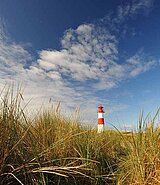 Leuchtturm mit langem Gras auf der Insel Sylt an der Nordsee
