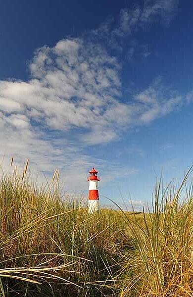 Leuchtturm mit langem Gras auf der Insel Sylt an der Nordsee