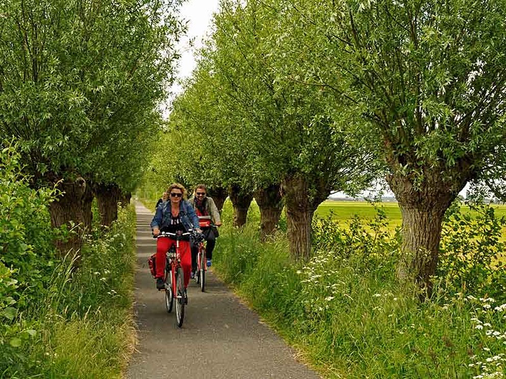 Radfahrer am Radweg in Holland