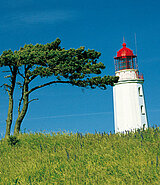 Der Leuchtturm auf der Insel Hiddensee