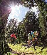 zwei Mountainbiker unterwegs durch die schöne Landschaft des SalzburgerLandes